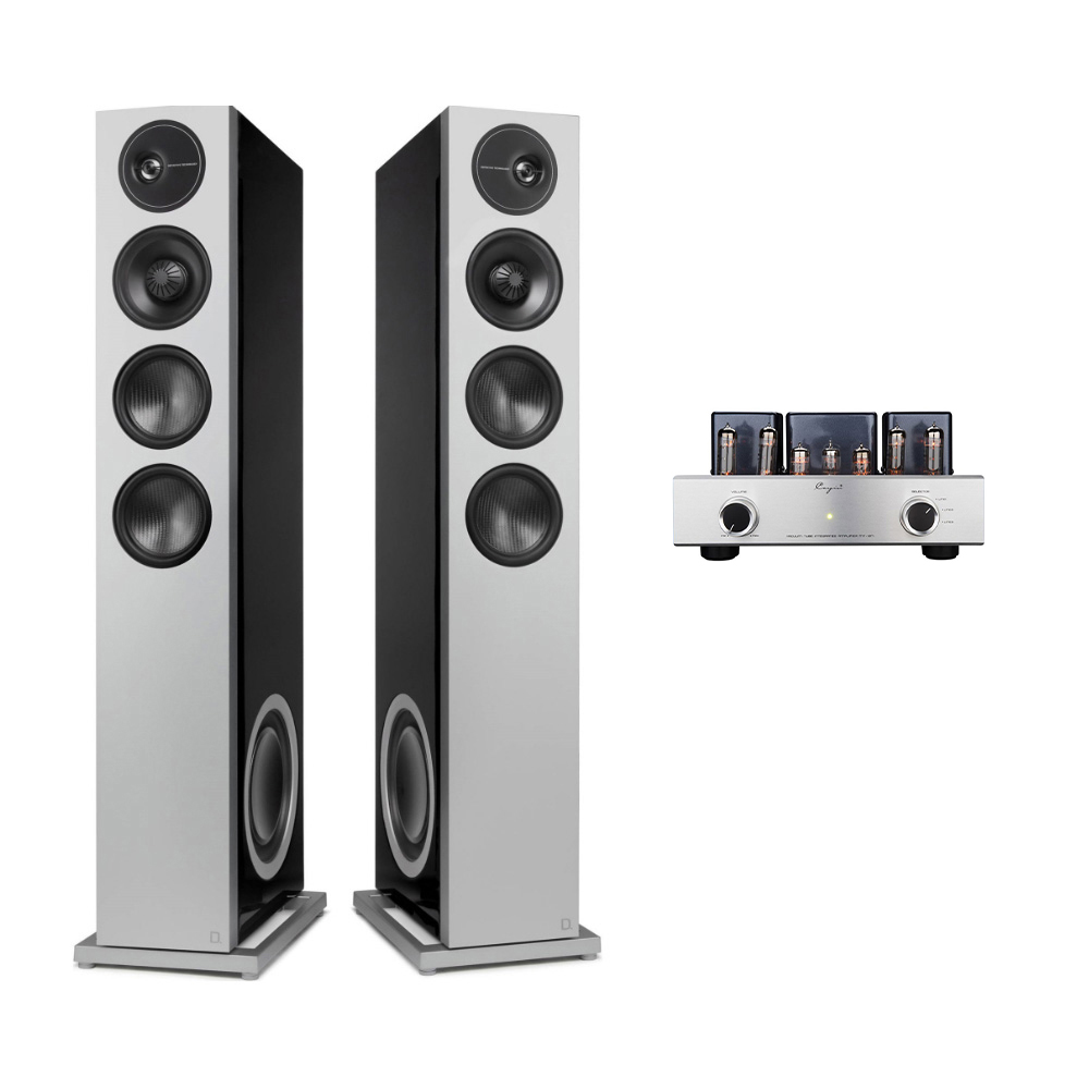 케인(Cayin) MT-12N + 데피니티브테크놀러지 D15 진공관 오디오, 단품 2,968,200원