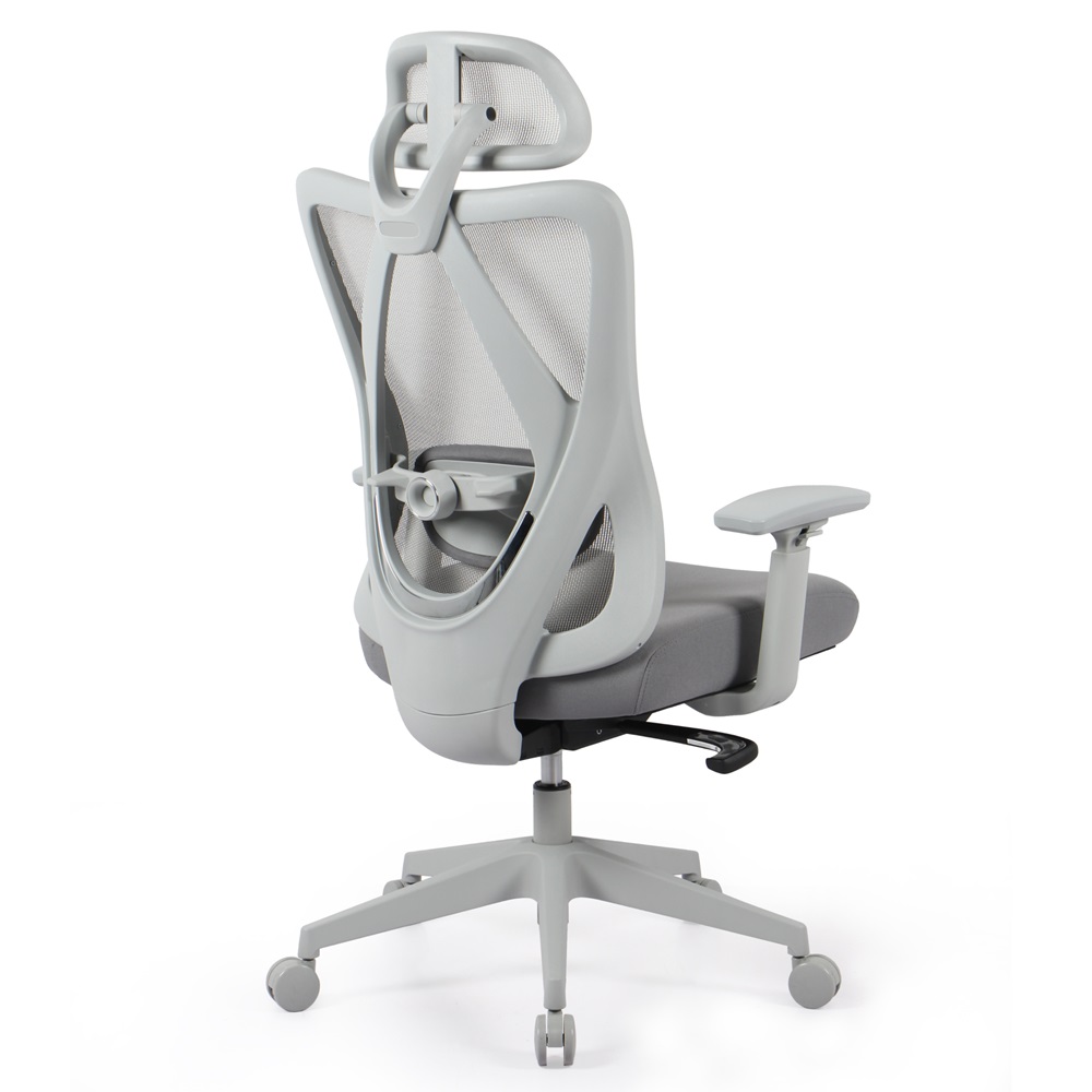 FlexiSpot 사무용의자 푹신한 컴퓨터의자 메쉬의자 입체형허리받침대 A/S 3년 사무실의자 C5, 그레이 240,000원