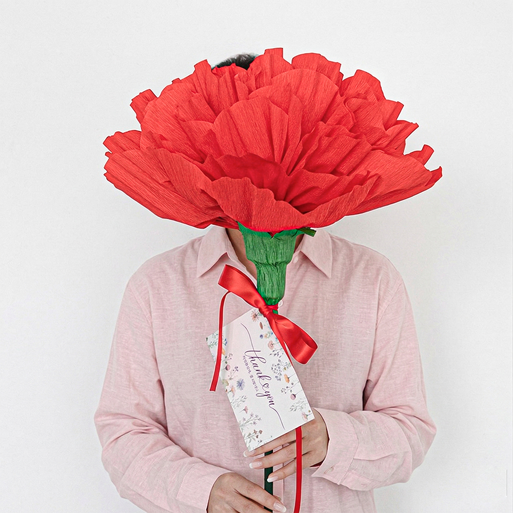 로나파티 카네이션 만들기 꽃 코사지 어버이날 대형 조화 부모님 이벤트 선물, 1개, 대형 카네이션 만들기 키트 13,800원