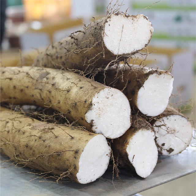 산지직송 더조은 국내산 장마(실속형) 5kg 27,450원