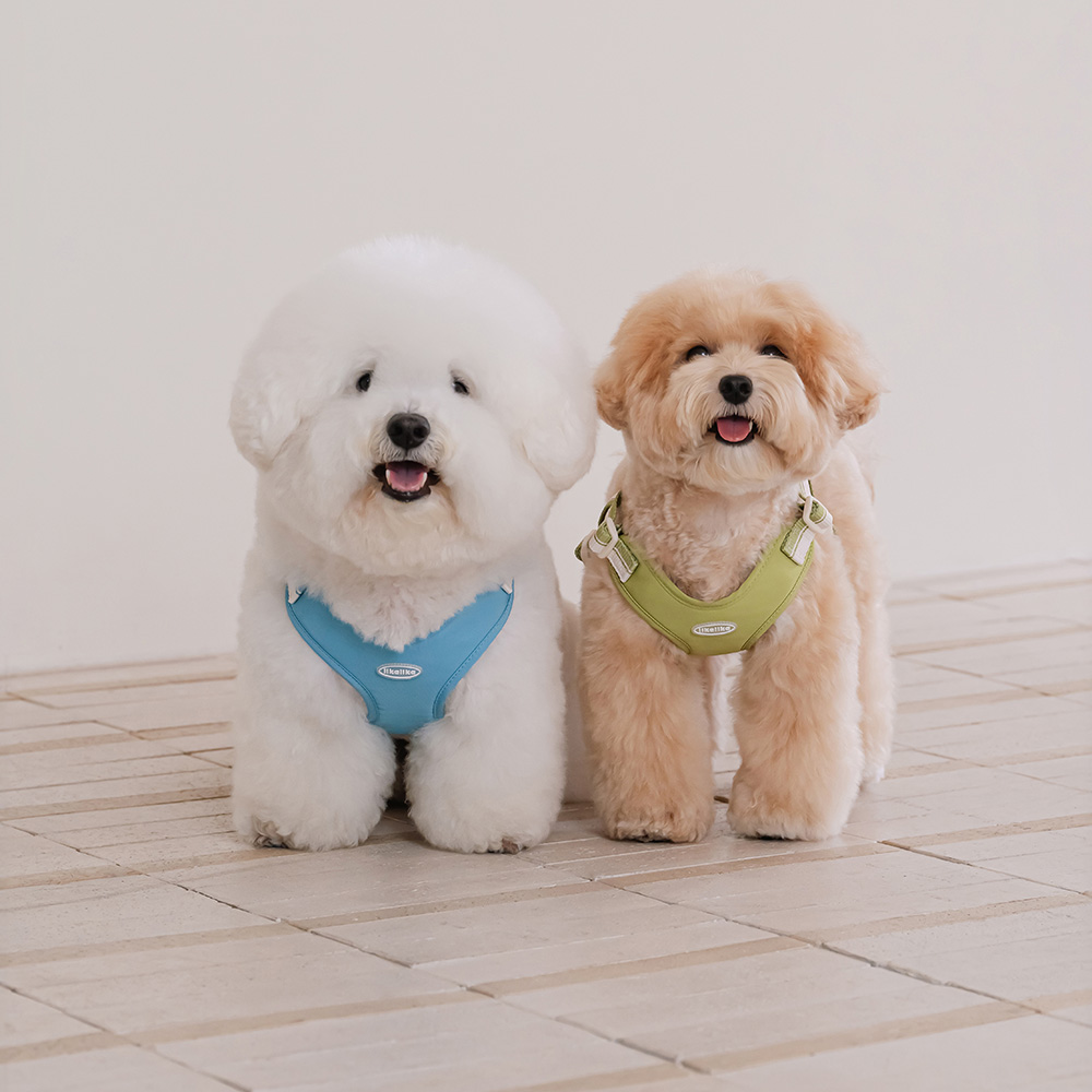 리카리카 강아지 하네스 브리즈 워크 43,000원