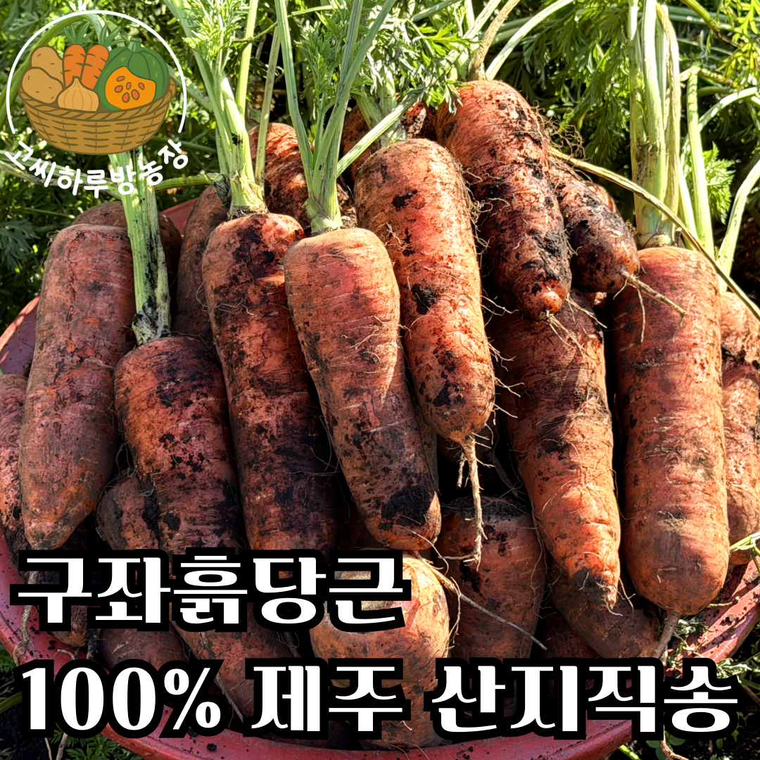 [고씨하루방농장] 제주명품 햇당근 구좌흙당근 10,570원