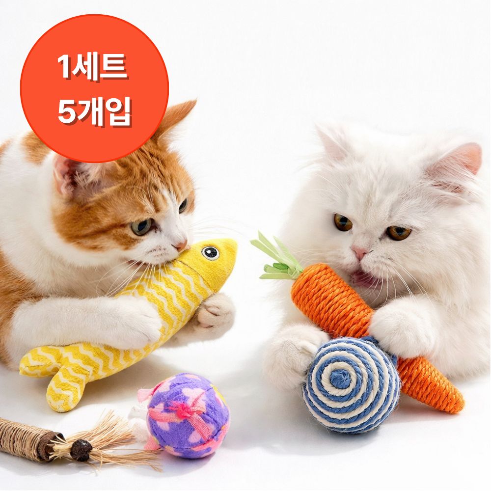 샤샤픽 고양이 이갈이 장난감, 1 9,900원