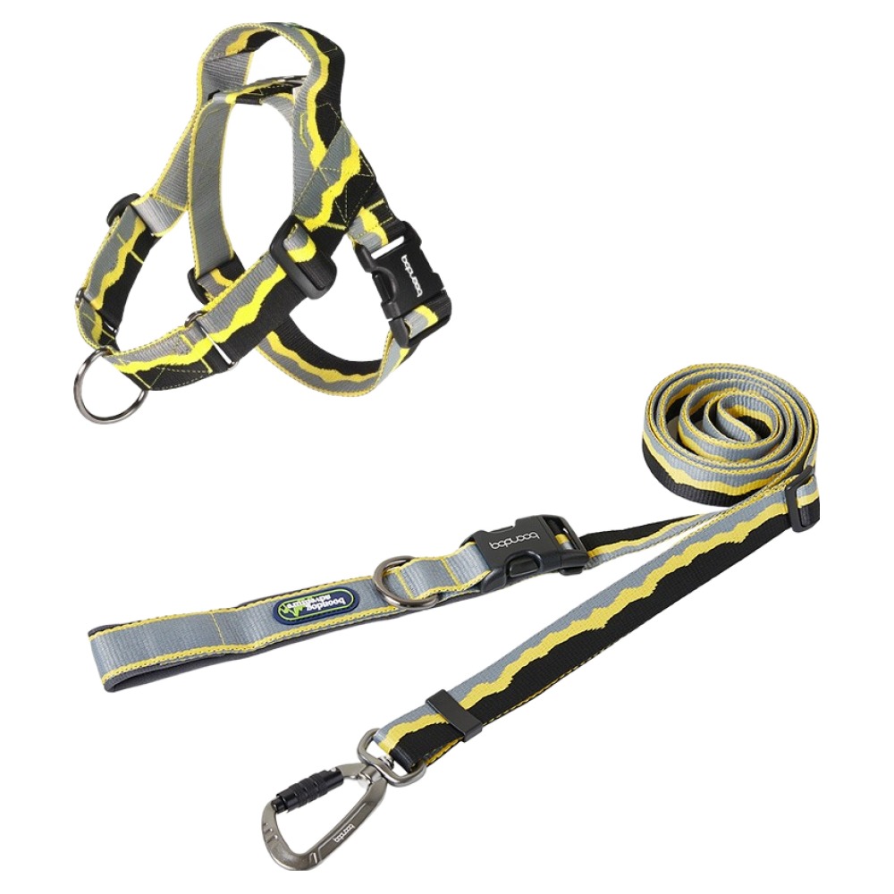 분독 강아지 어드벤처 하이브리드 리쉬 + 0109 하네스 세트 95,000원