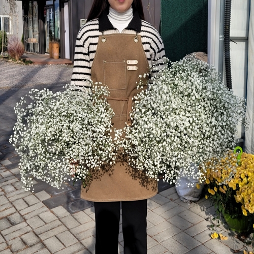 데일리꽃 안개꽃 생화 반단 한단 농장직송 29,900원