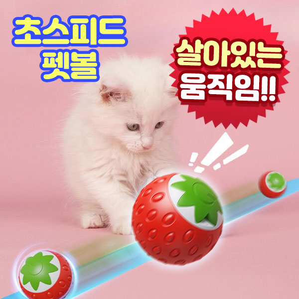 앤트앤비 냥이 딸기 펫볼 고양이 자동장난감 7,410원