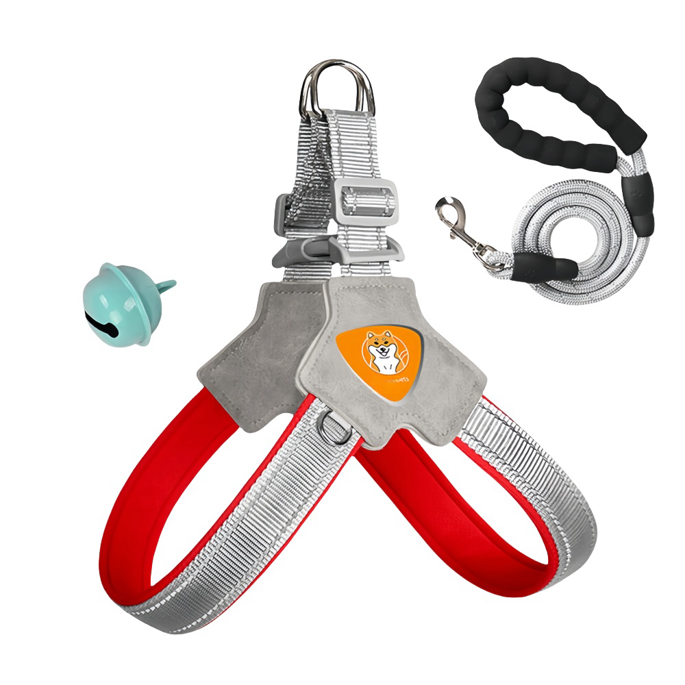 베이직 애견목줄 강아지 목줄 + 리드줄 초경량 강아지하네스세트 13,820원