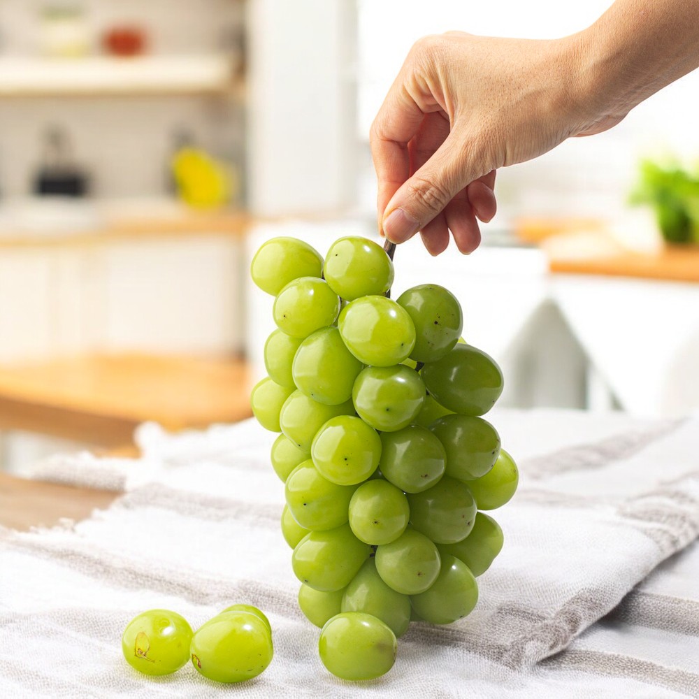 2kg 고당도 샤인머스켓 (3수) 달콤한 씨없는 망고포도 29,110원