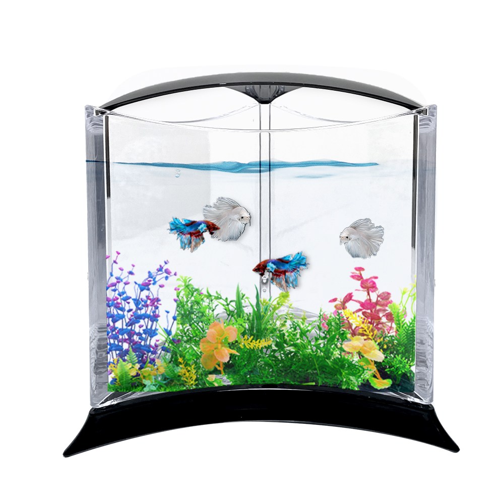 아쿠아테라 스타일리쉬 베타어항, 1개 8,000원