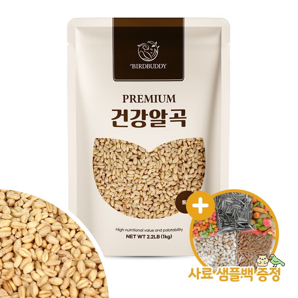 건강알곡 통밀 1kg 앵무새 햄스터 소동물 간식 사료 3,500원