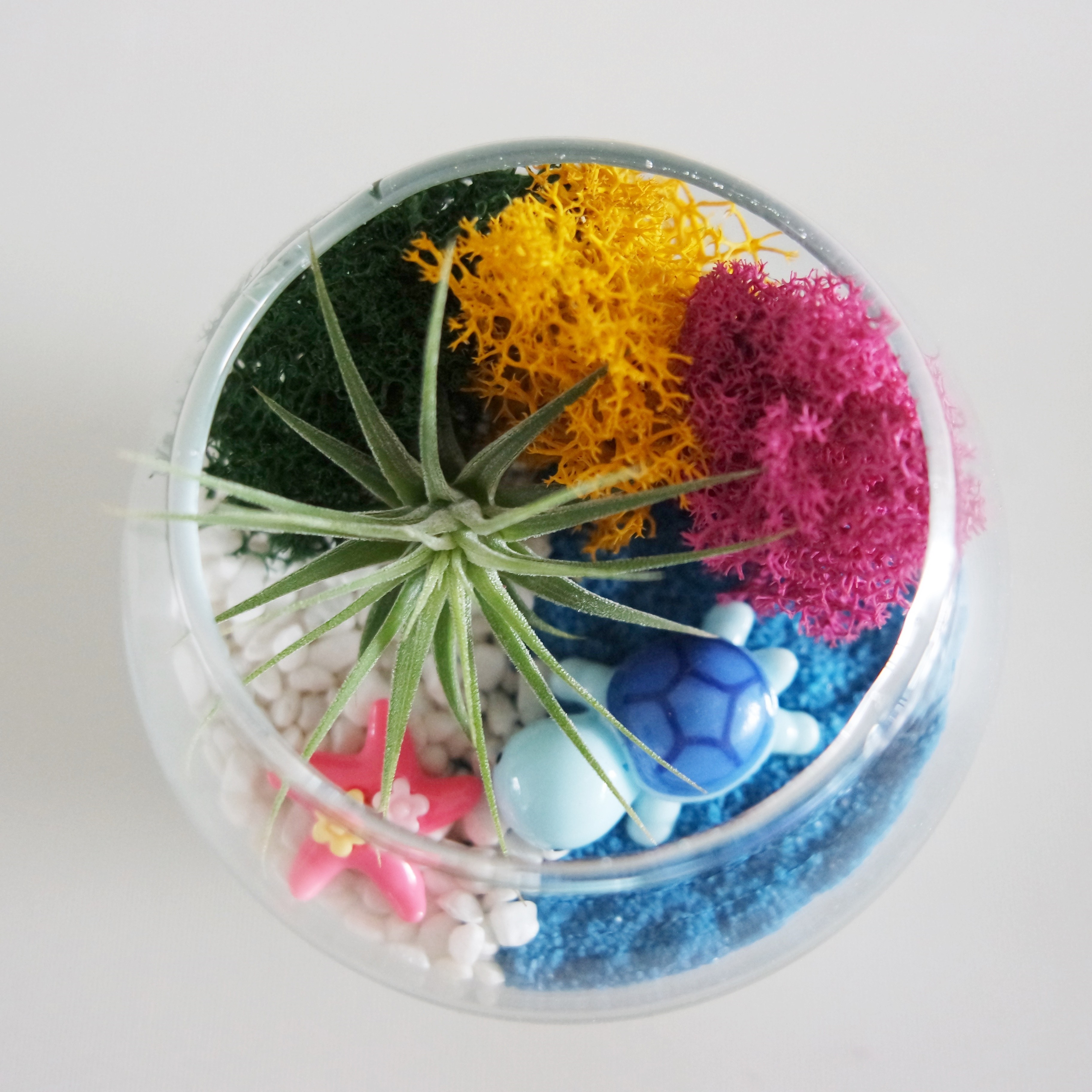 거북이 테라리움 만들기 키트 / 미니 테라리움만들기, 1개 10,500원