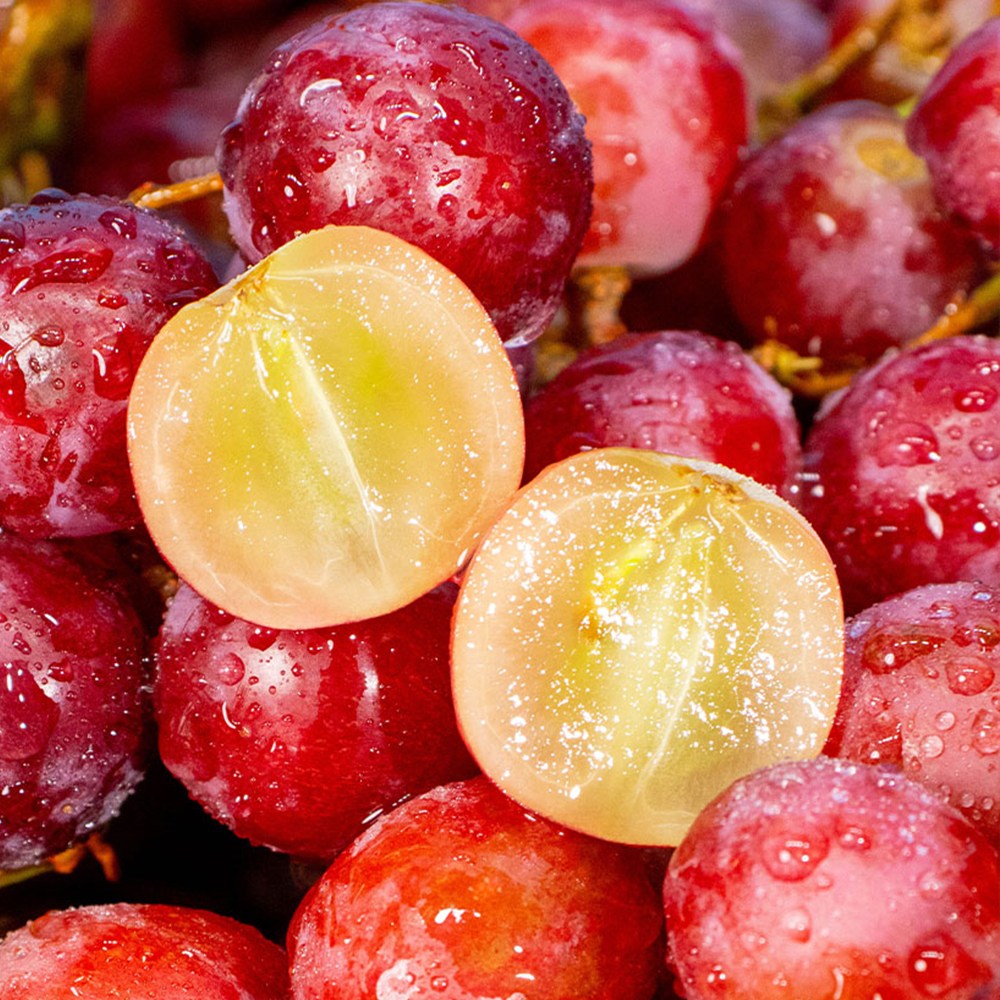 신품종 초고당도 체리파이어크러시 포도, 1박스, 800g 16,900원