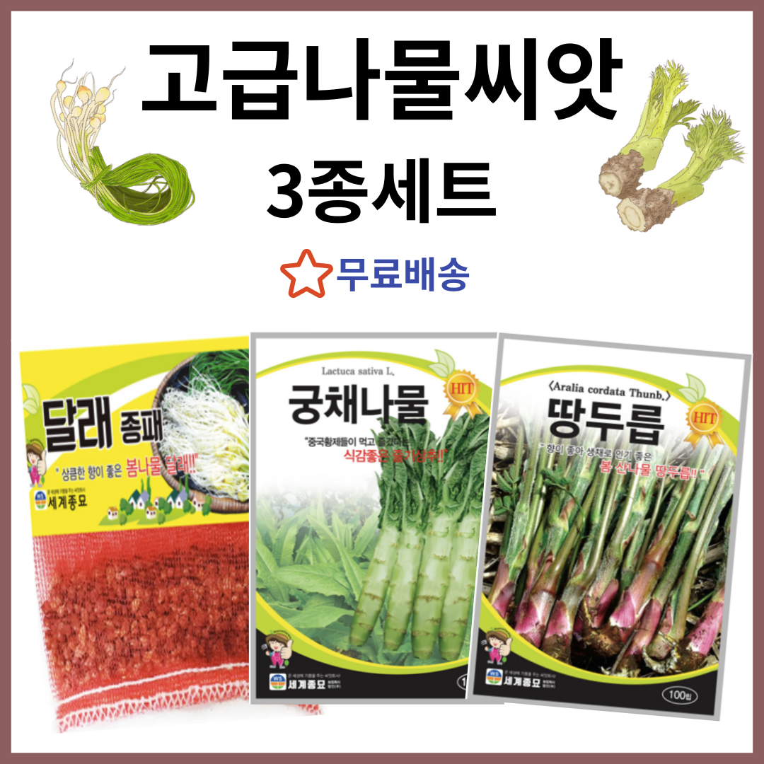 주주씨앗 세계 고급 나물씨앗 3종 세트 / 달래 궁채 땅두릅 산나물 종자 토종 민속 산채 채소씨앗 채소씨 종자 봄 여름 가을 겨울 월동 파종 17,500원