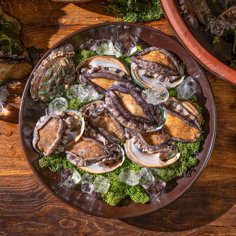 백화점 납품용 완도 활전복 선물세트 산지직송 112,200원