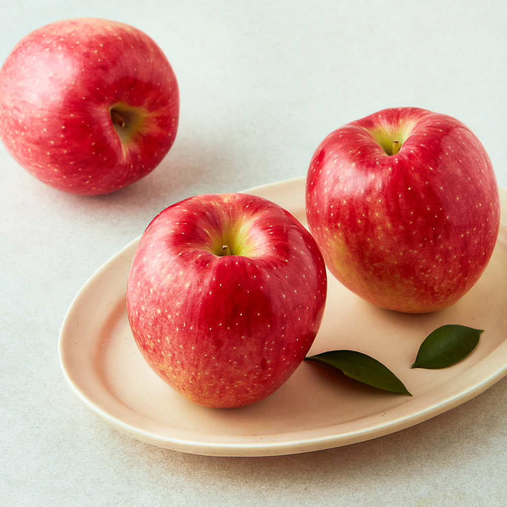 [로켓프레시] 셀렉트팜 A 제수용 사과 13,800원