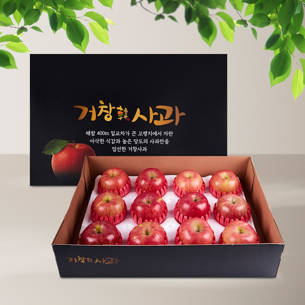 [남거창농협] 사과 선물세트 대과 12과 4kg내외 69,900원