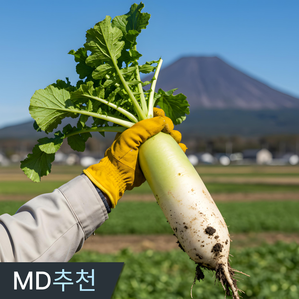 삼시세끼연구소 아릿함없는 4주한정 정품 햇 제주 무우 국산 김장용 동치미 무우 39,900원