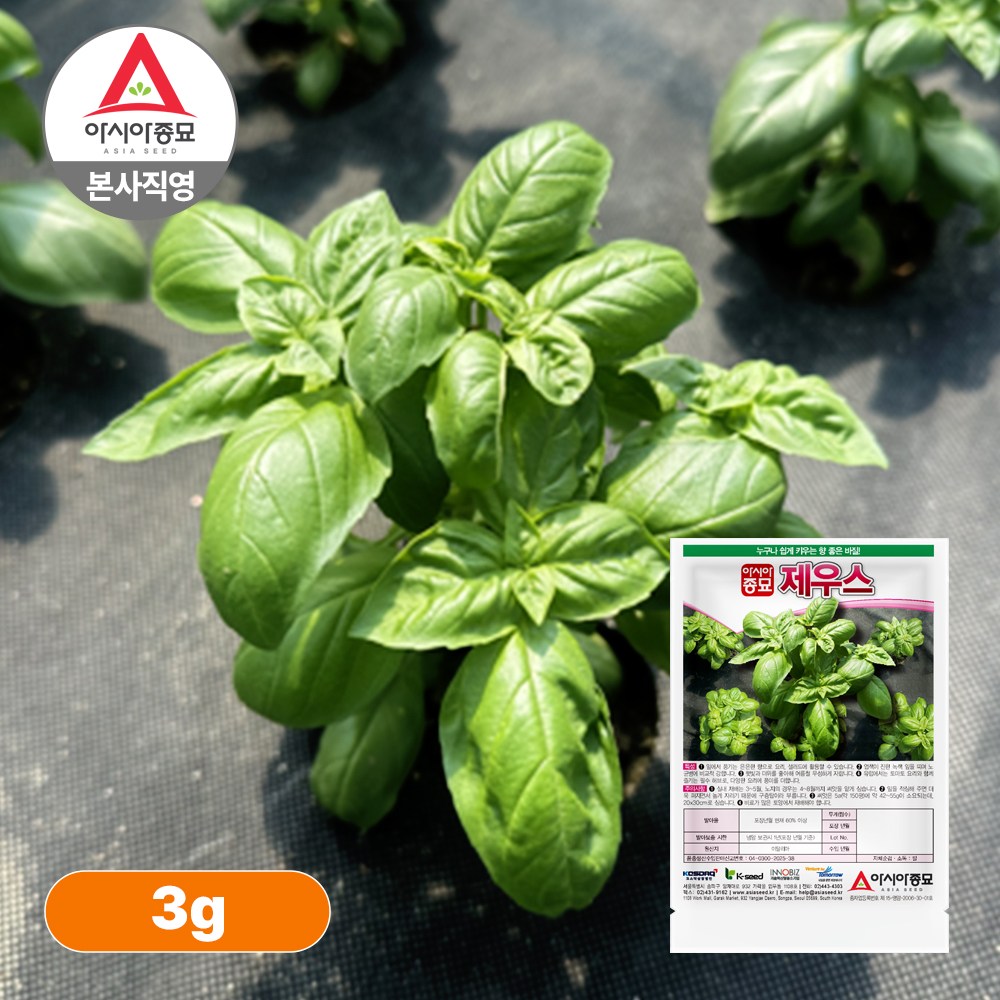 아시아종묘 씨앗 허브 제우스 바질 3g 5,000원