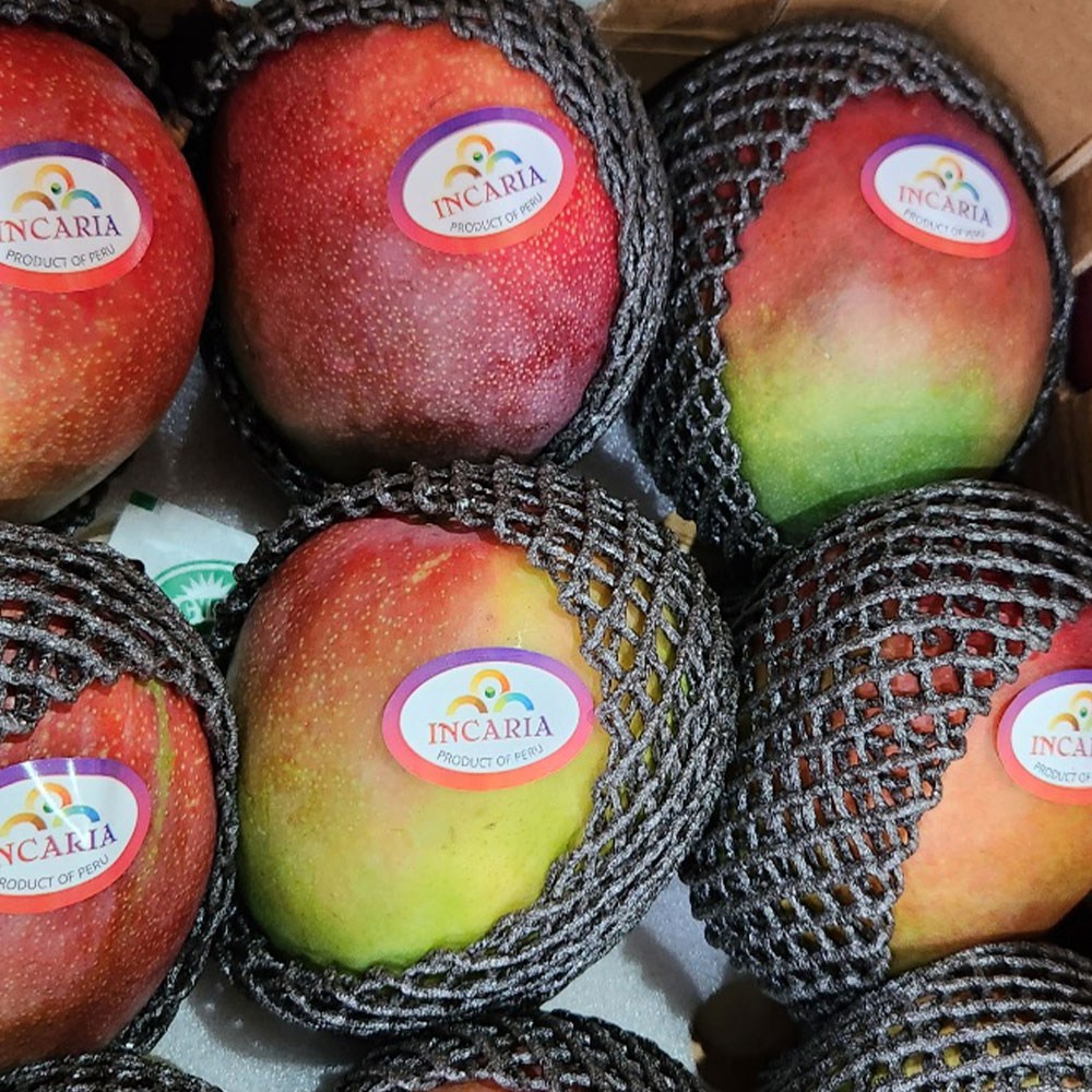 황금열매 남미 페루산 애플망고 4kg 7~13과 29,900원