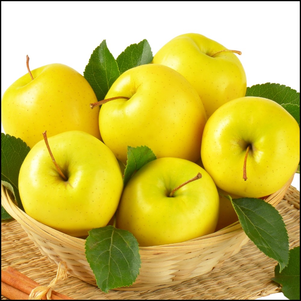 ( 특품 ) 청송 벌꿀당도 프리미엄 시나노골드사과 노란사과 황금사과 11,790원