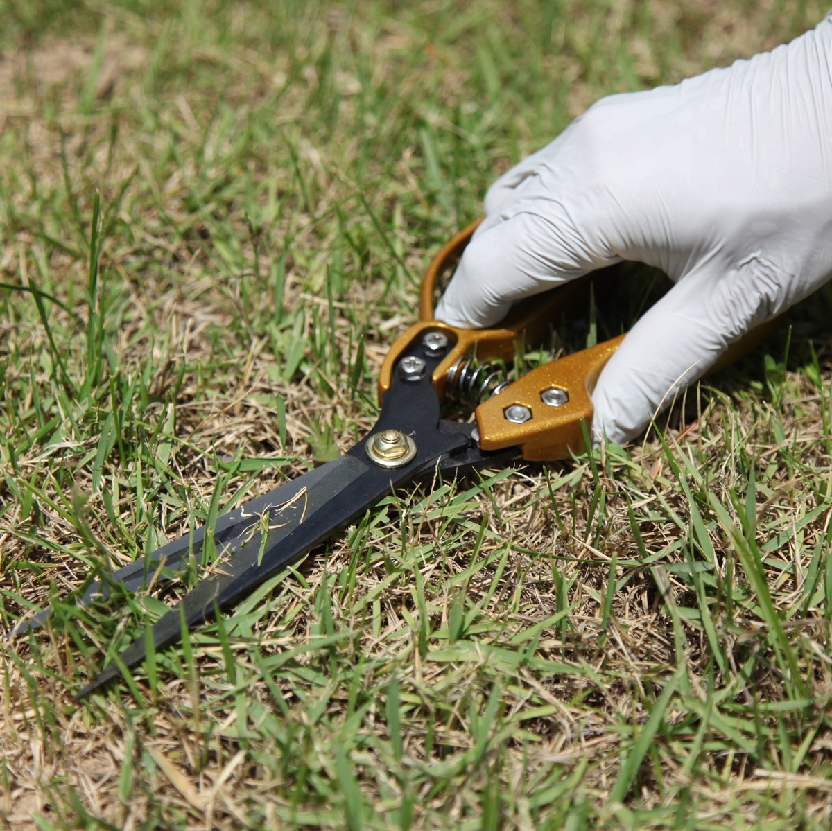 케이비몰 고급 잔디가위  전지가위 긴날 잡초제거 원예용 17,820원