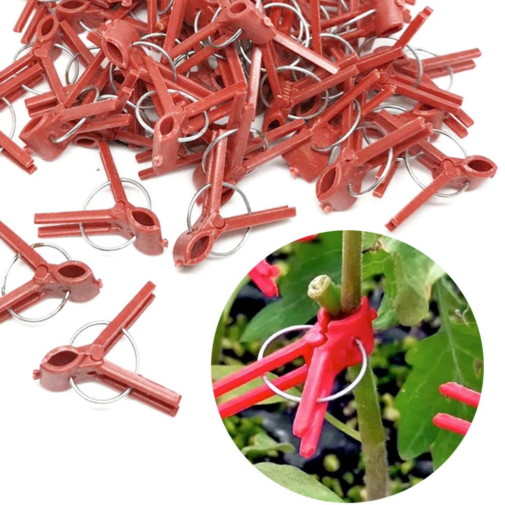 스토비투 접목 집게 클립 포도 모종 접목크립 접붙이기 농자재 2,000원