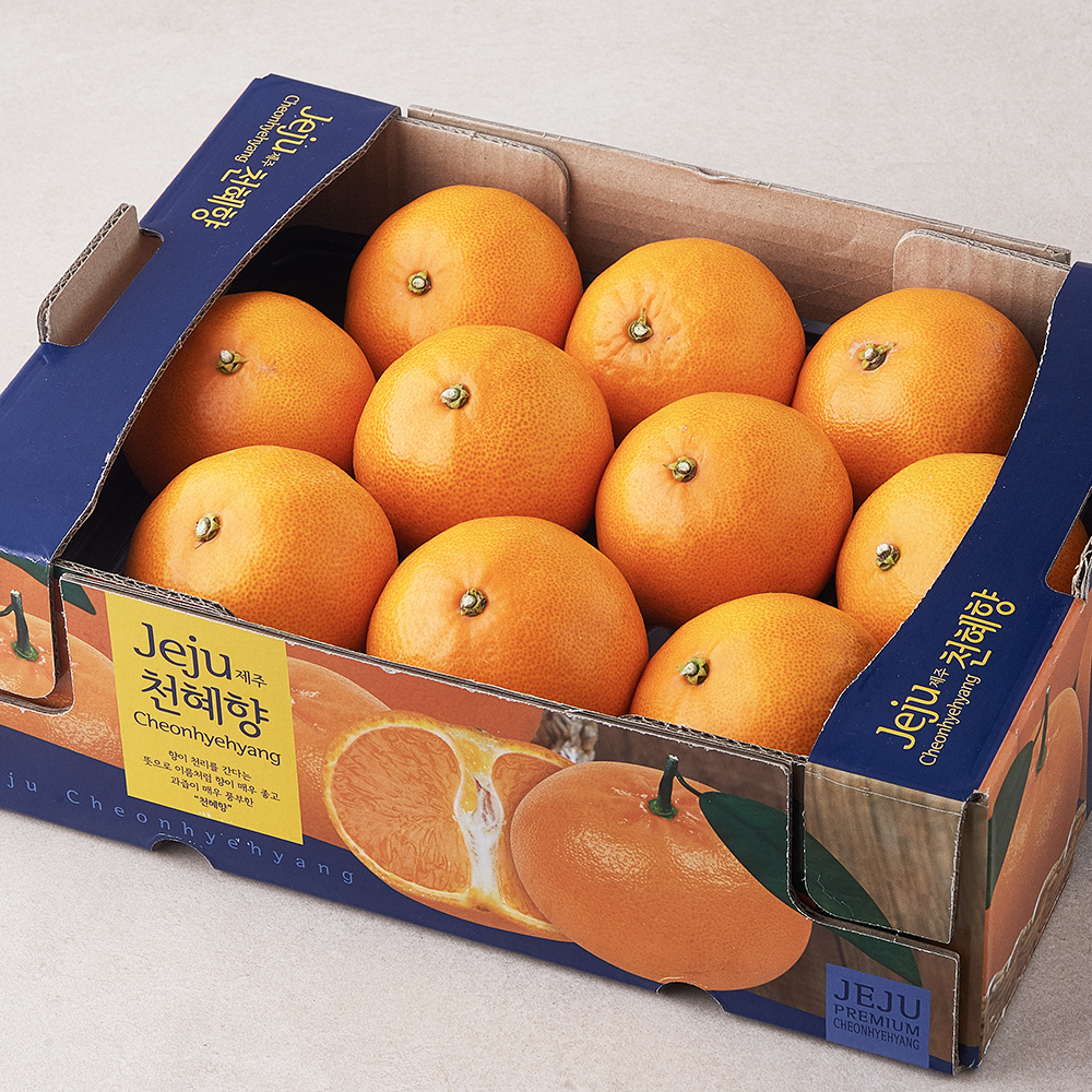 [로켓프레시] 가족 당도선별 천혜향 14,140원