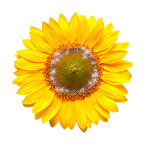 피앤피몰 보석 해바라기 액자 풍수지리인테리어 그림 180,000원