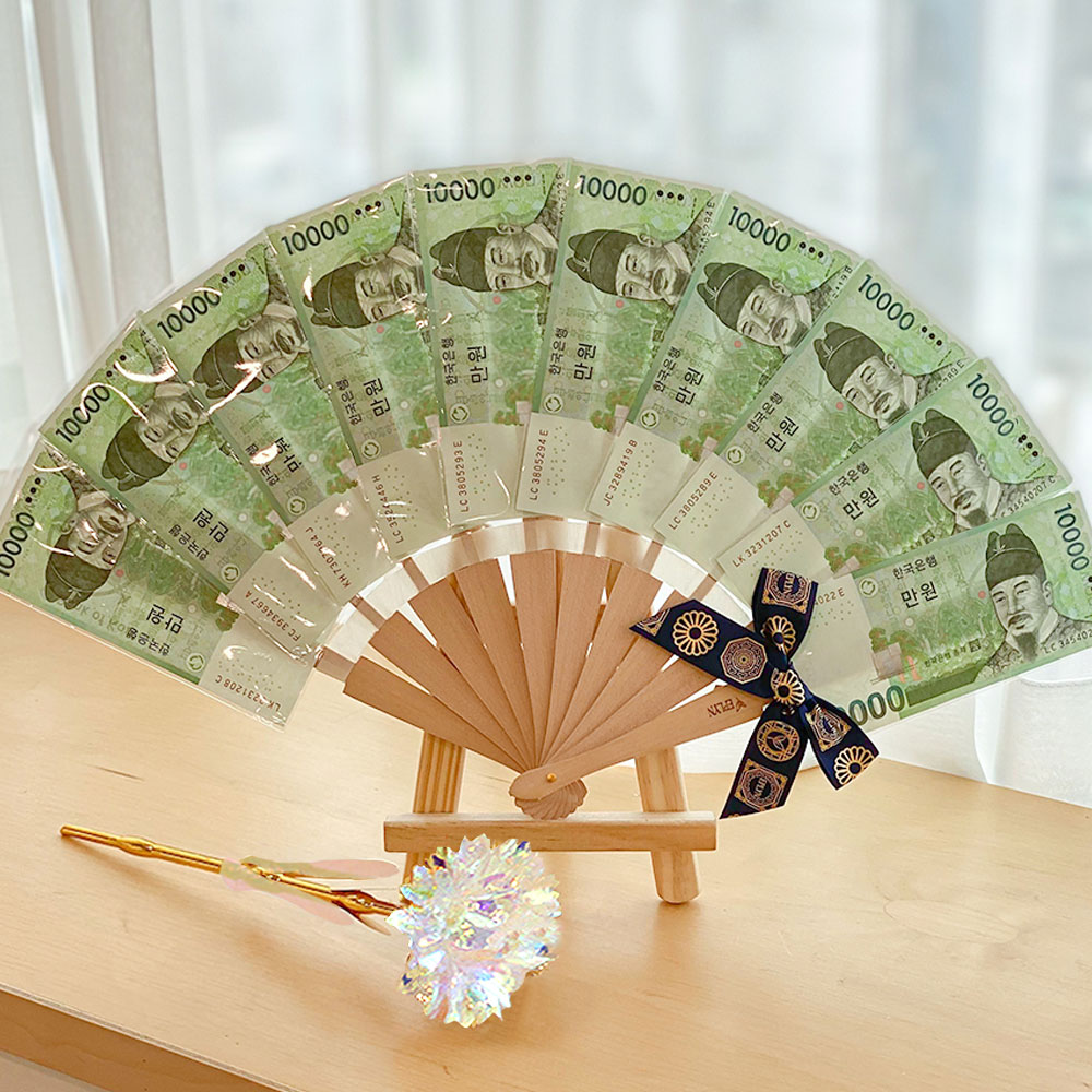 이플린 블링 조화 카네이션 한송이 꽃다발 + 돈부채 10p 세트 16,600원