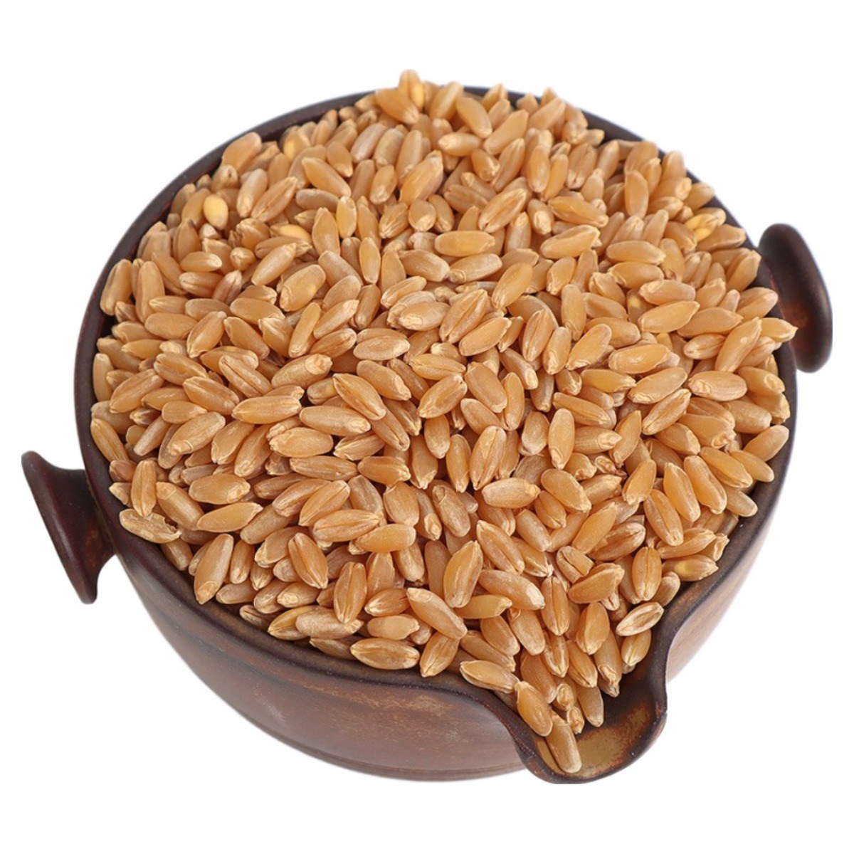 호라산밀(카무트) 고대곡물, 1개, 1kg 6,990원