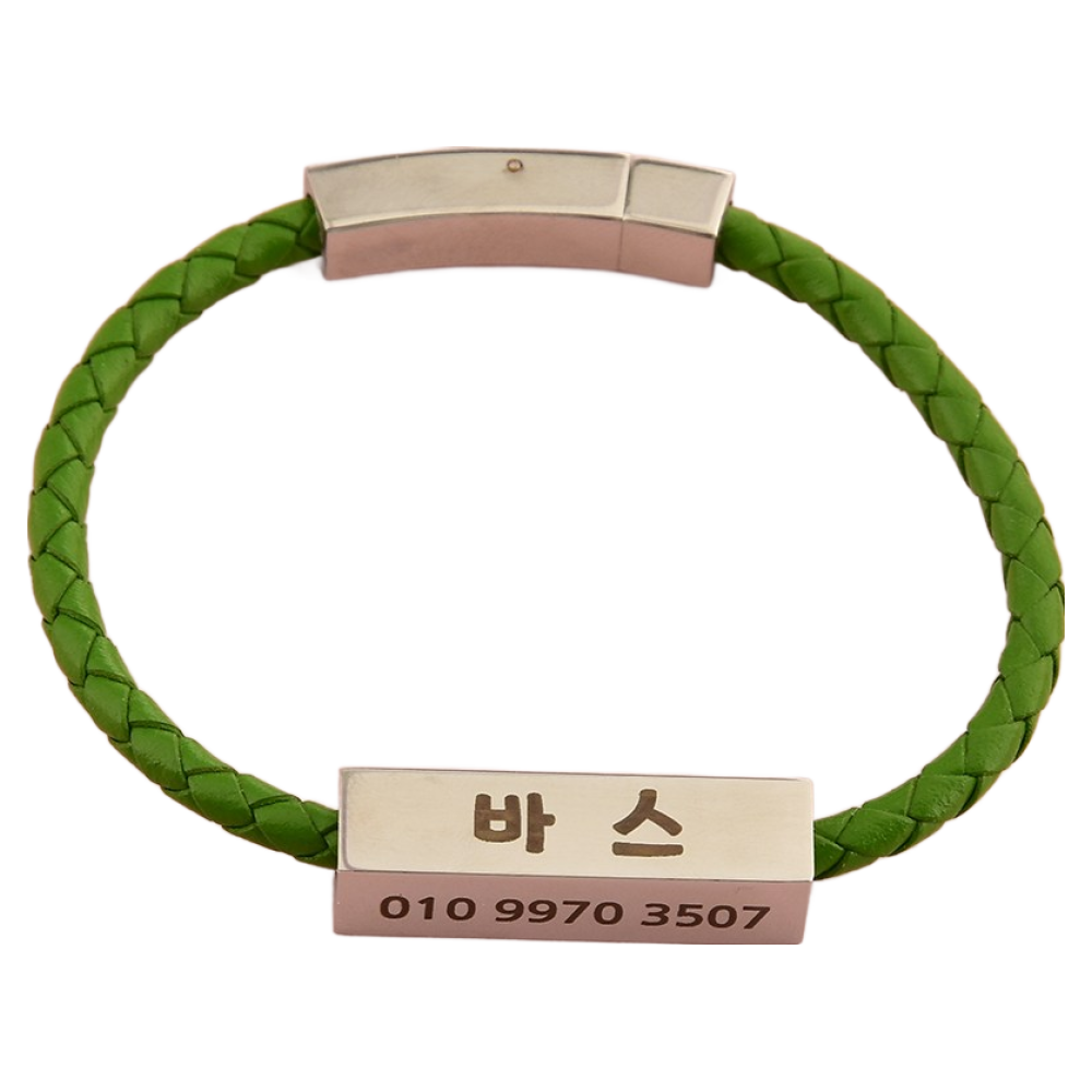 강아지목걸이 고양이목걸이 4면각인 서지컬이름표 인식표, 그린, 1개 21,900원