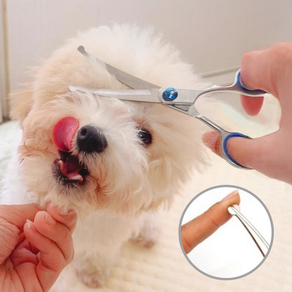 쿠종 잘 잘리고 안전한 애견 미용가위 10,900원