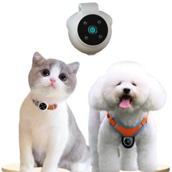 애완동물 바디캠 목걸이형 강아지 고양이 시점 액션캠 66,400원