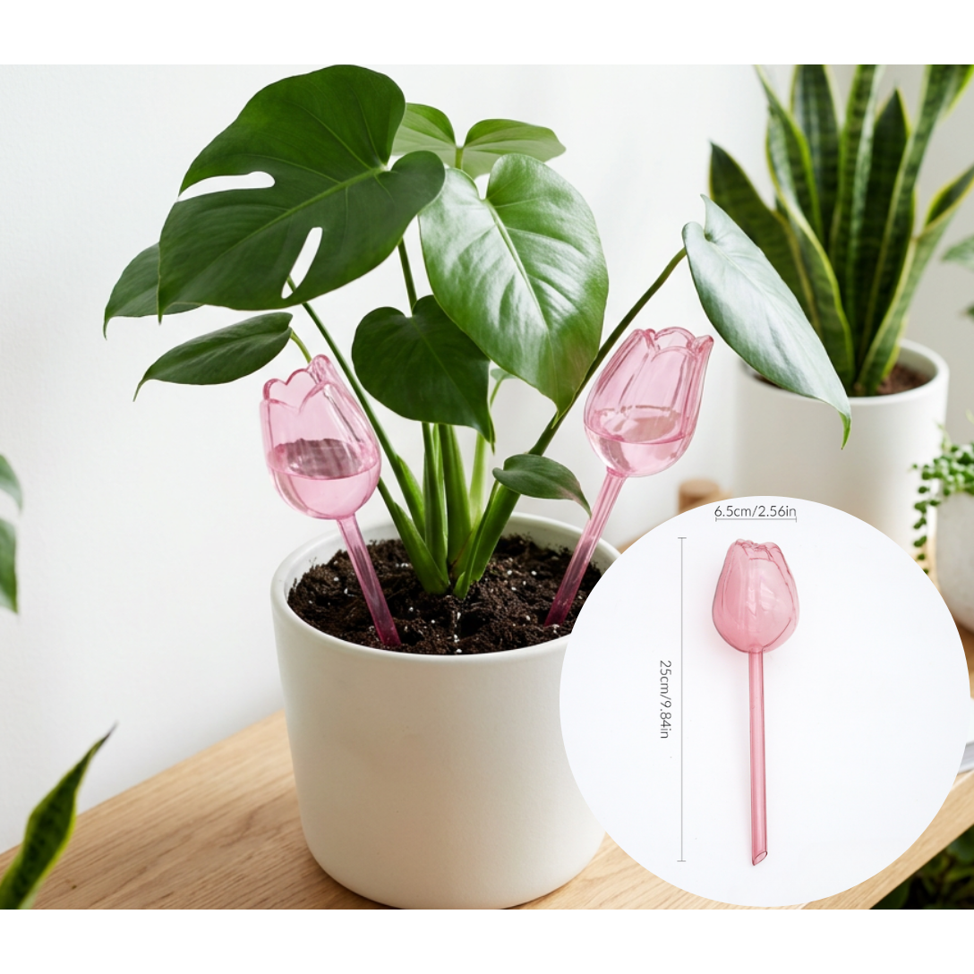 이루앤 반려식물 물주기 급수기 튤립모양급수기, 핑크, 2개 6,600원
