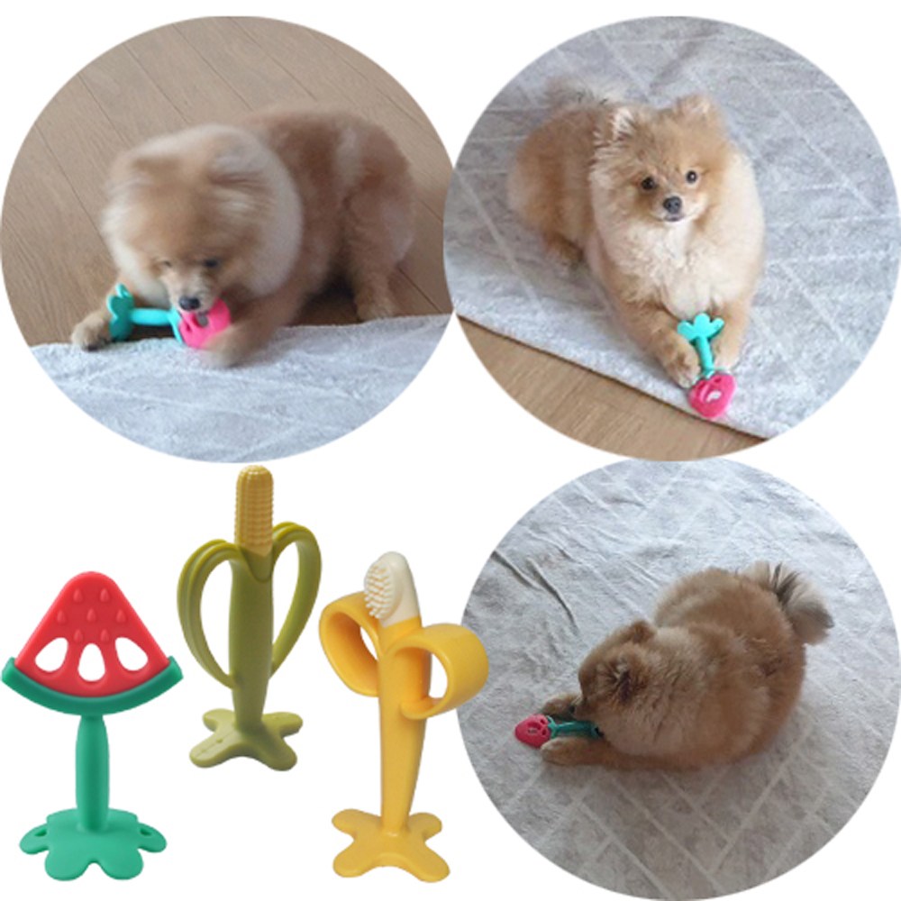 애완견 과일치발장난감 / 유치보호장난감 / 100%국내생산, 1개, 사과 11,900원