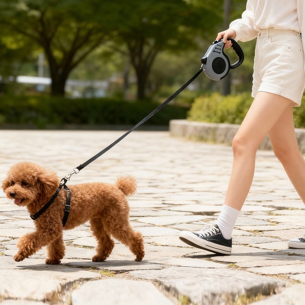 Jeernare 꼬임방지 신축 강아지 리드줄 길이조절 강아지 목줄 원터치 강아지 자동리드줄 6,900원