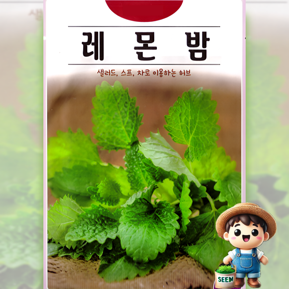 레몬밤 씨앗 (300립) 샐러드 허브 꽃 관상 약용 차 종묘 종자 씨 영웅, 1개 2,980원