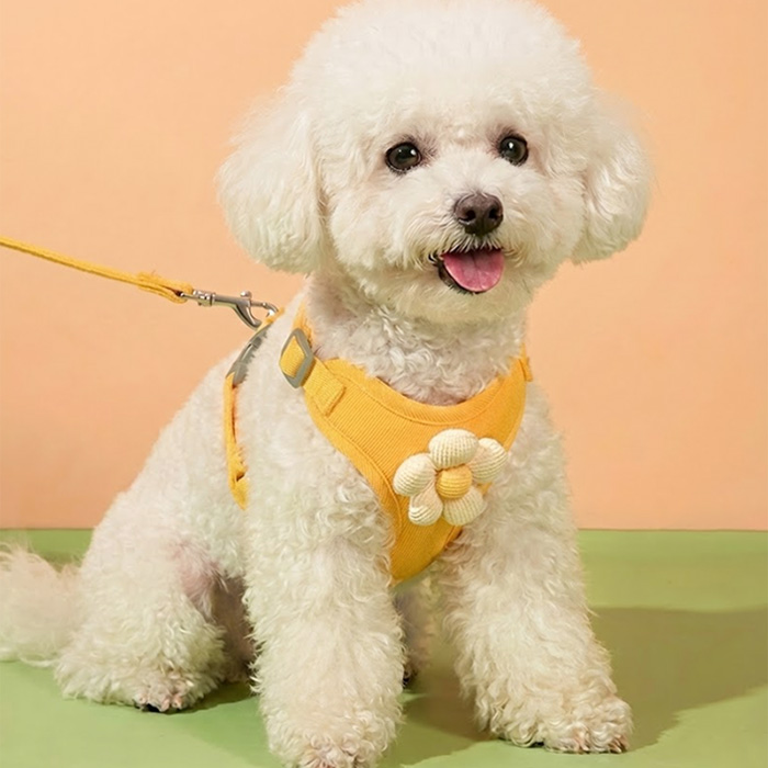 해피펫밀리 데이지 하네스 리드줄 세트 8,900원