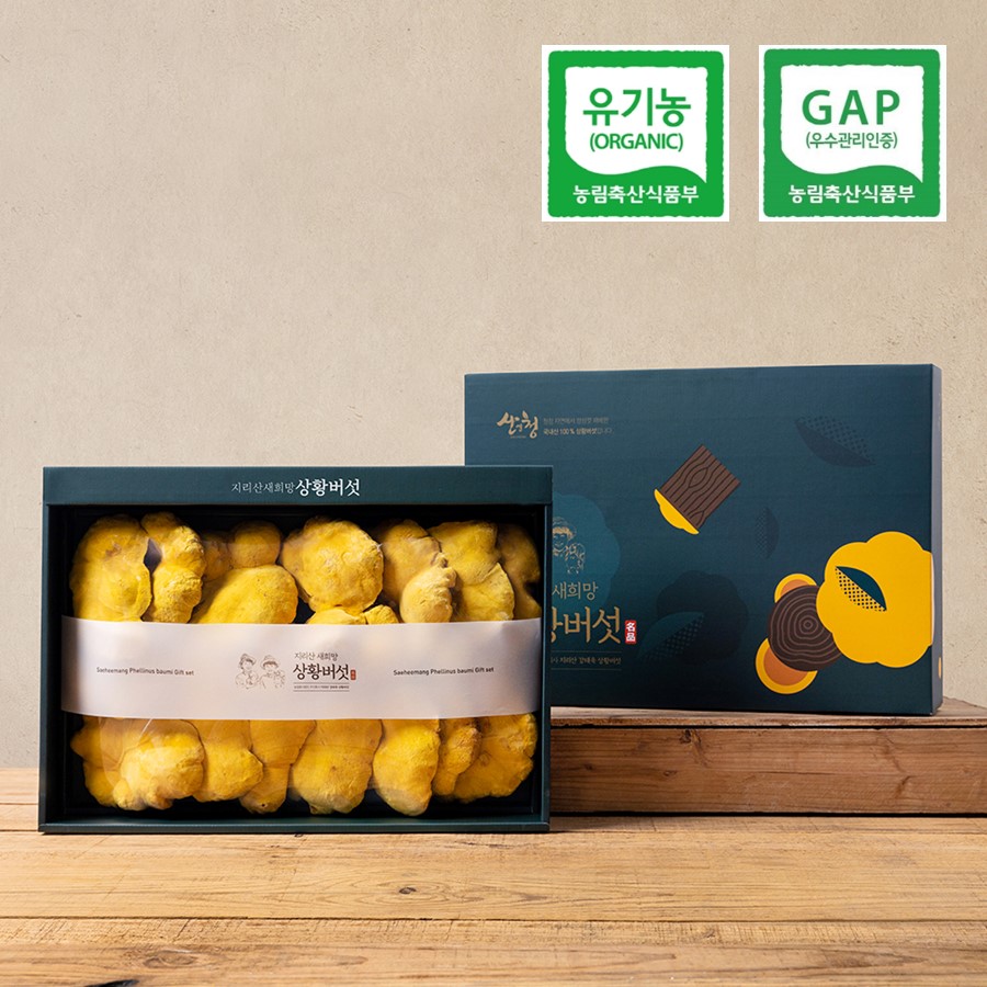 유기농 지리산 장수상황버섯 500g 프리미엄 선물세트 친환경 국산 국내산 6시내고향 새희망농원 210,000원