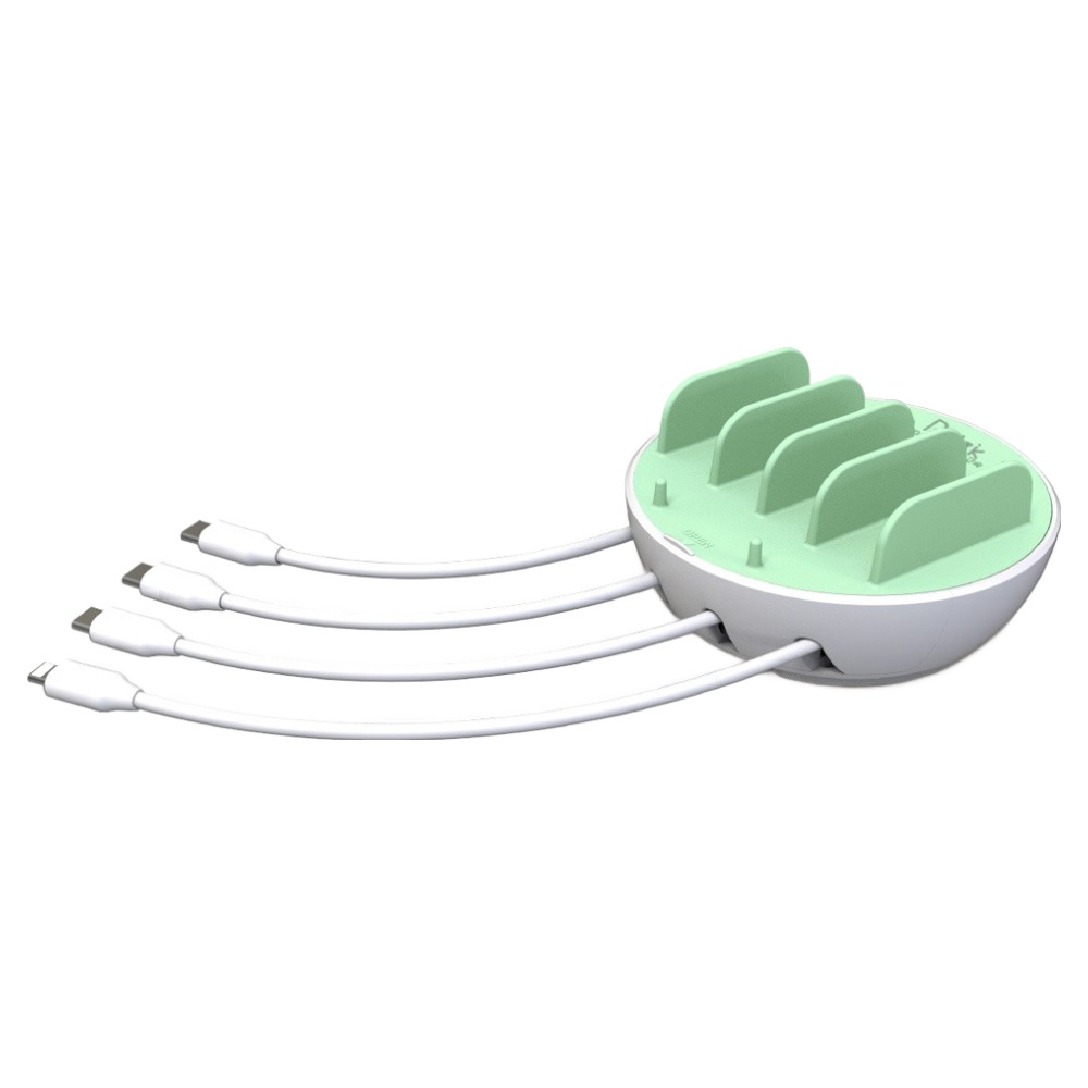 로이직 초고속 PPS / PD 4포트 멀티충전기 RZ-700 + C타입 케이블 3p + 8핀 케이블 세트, 민트, 1세트 36,800원