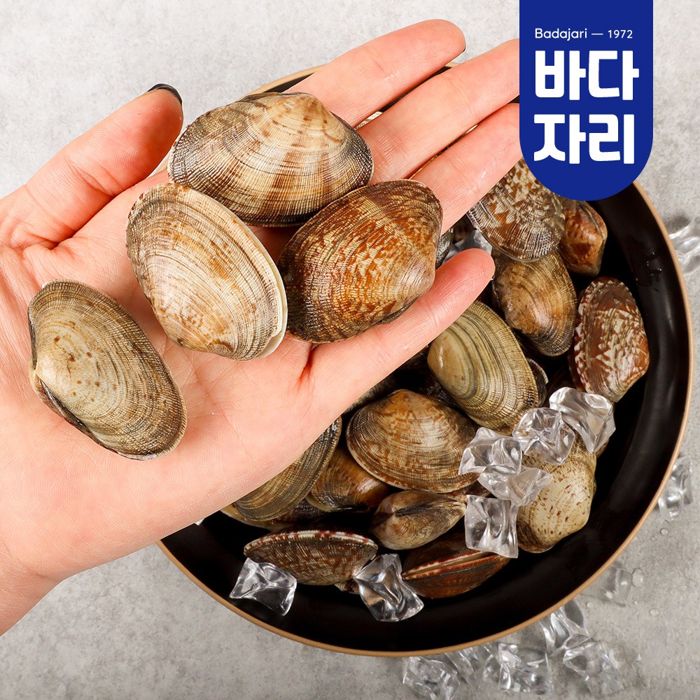 당일어획 남해안 다이버 자연산 바지락 24,700원