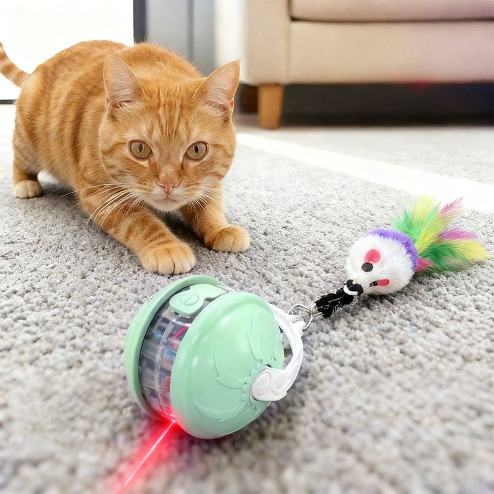 사시한사 고양이 스마트볼 자동 움직이는 사냥 장난감 충전식 공 12,990원