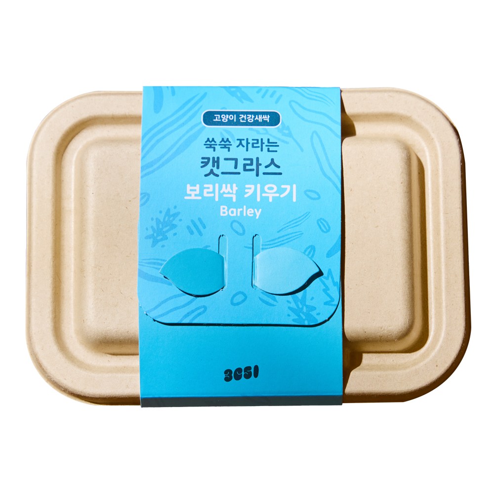 3651 쑥쑥 자라는 캣그라스 키우기 재배세트, 1개, 160g, 보리싹 6,900원