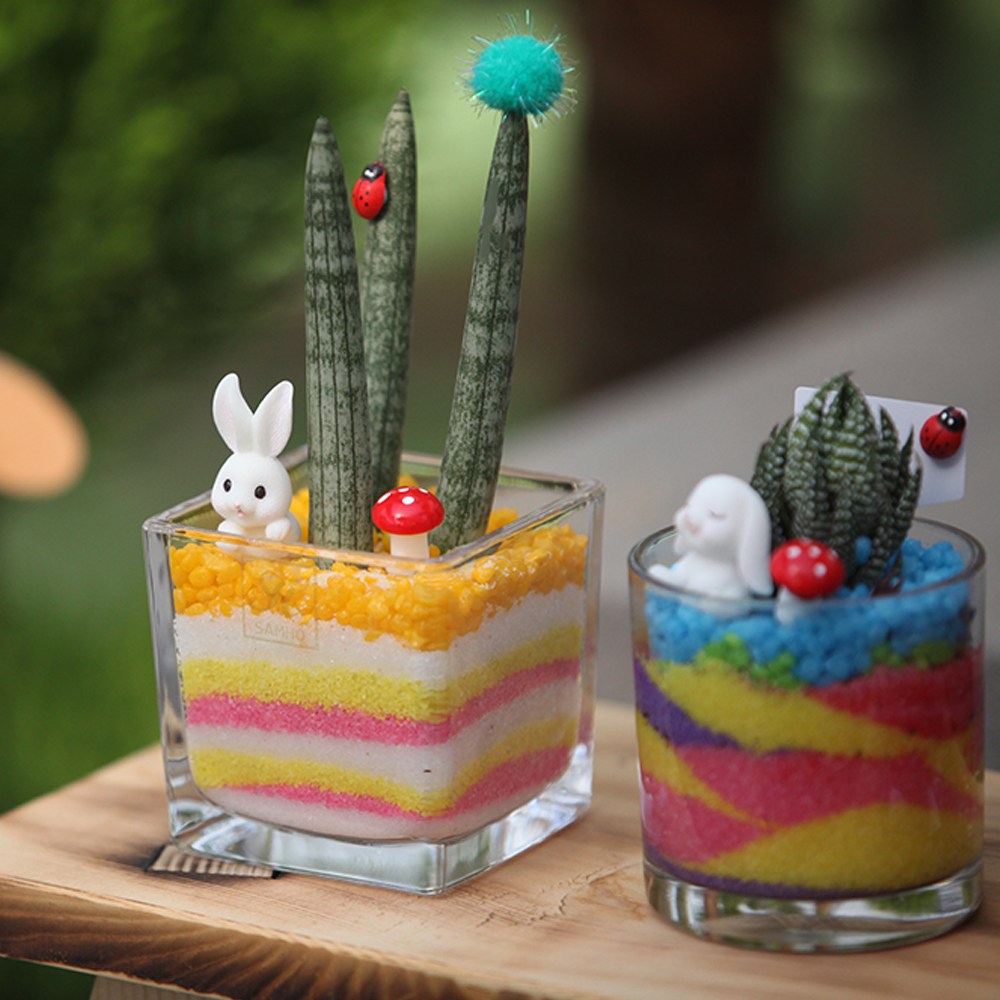 다육식물 테라리움 만들기  반려식물 키우기 체험키트 18,000원