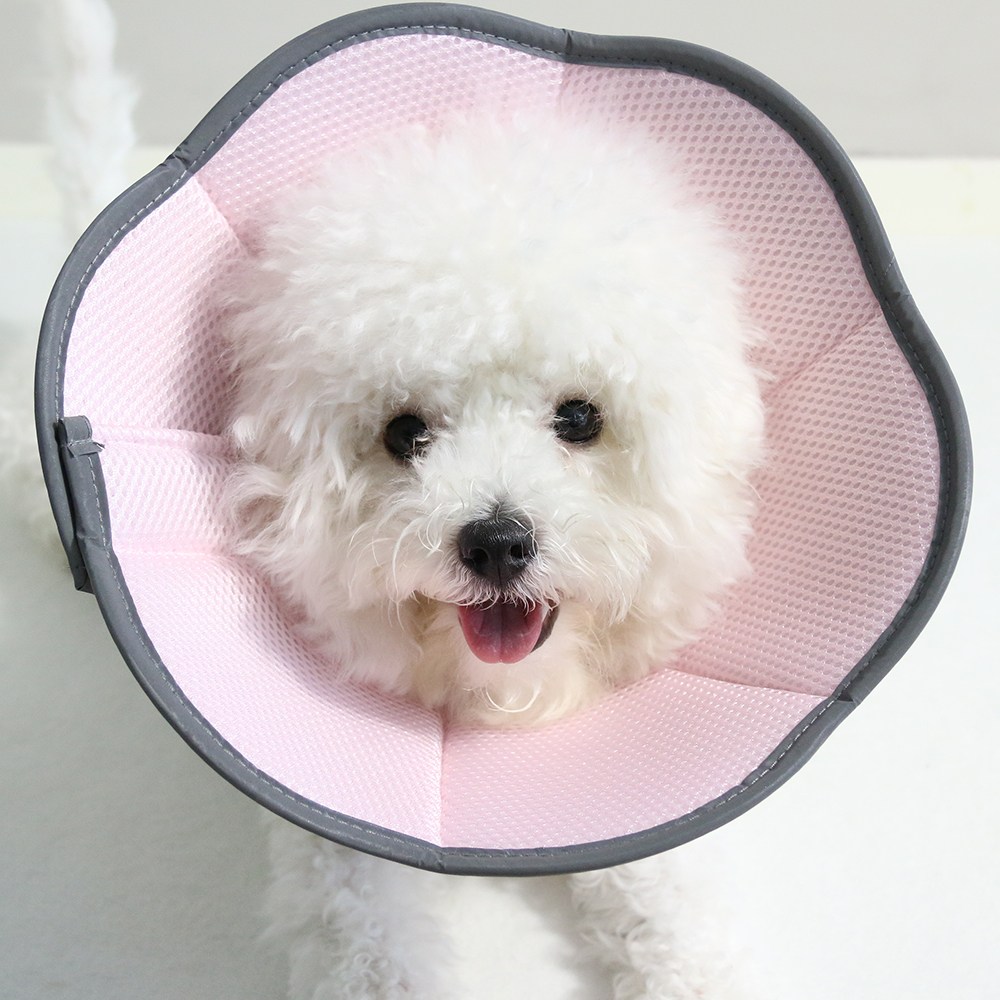 드림계곡 반려동물 강아지 고양이 통기성 메쉬 넥카라, 1개, 핑크색 16,900원