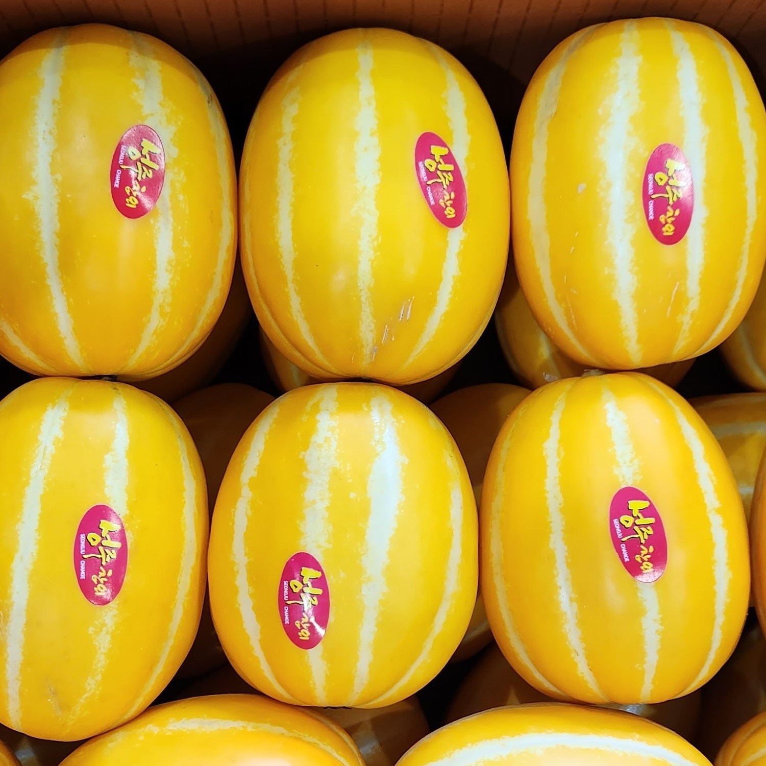 성주 참외 새벽수확 당일배송 [당도선별] 가정용 선물용 155,000원