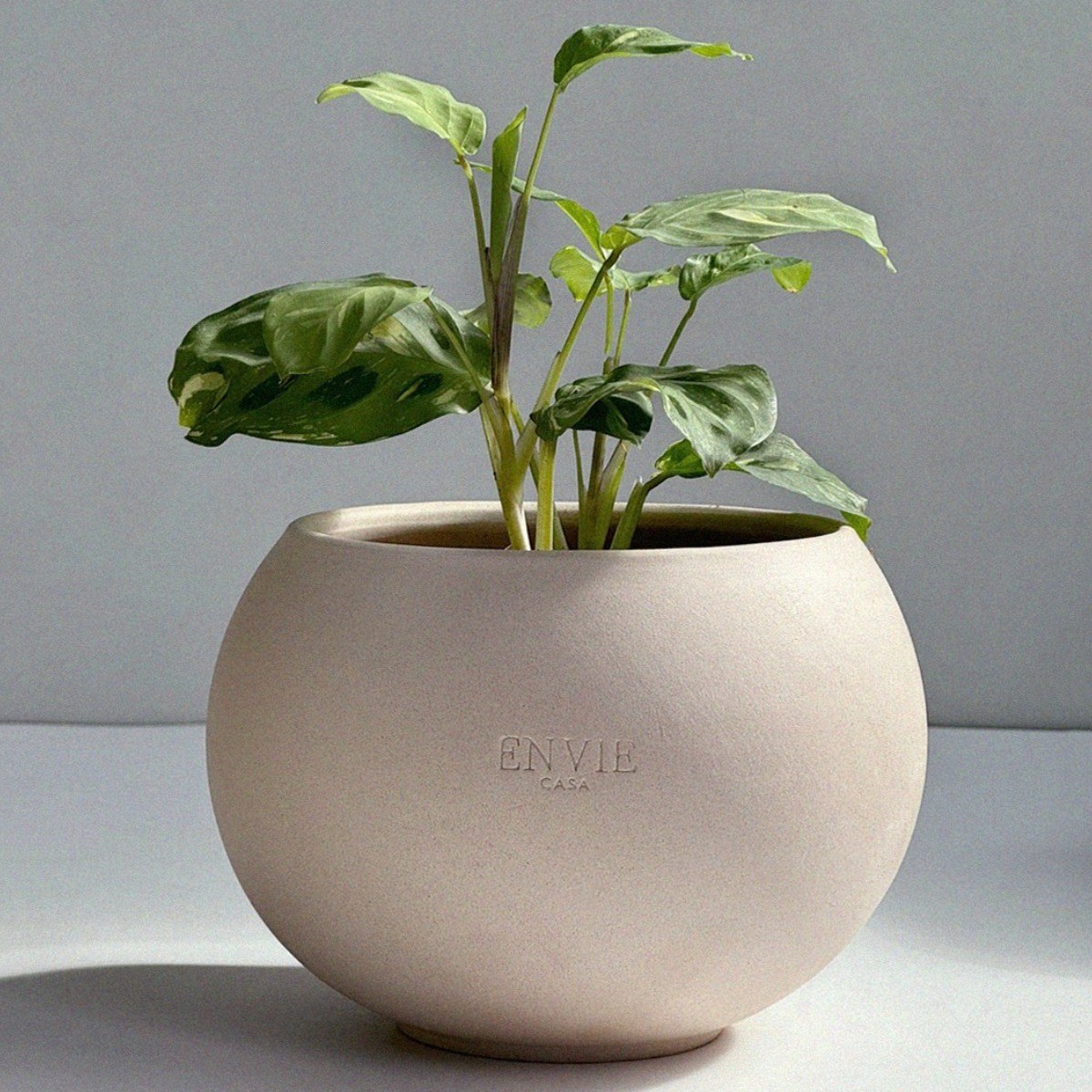 앙비까사 진주토분, 베이지(토분만), 1개 8,400원