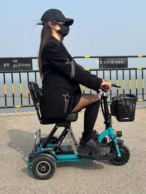 소형 전동차 소형 경량 접이식 보행기 전동 삼륜차 보조 스쿠터 전기자전거 완조립, 레드 48V 리튬 15Ah 60km, 강철 922,900원