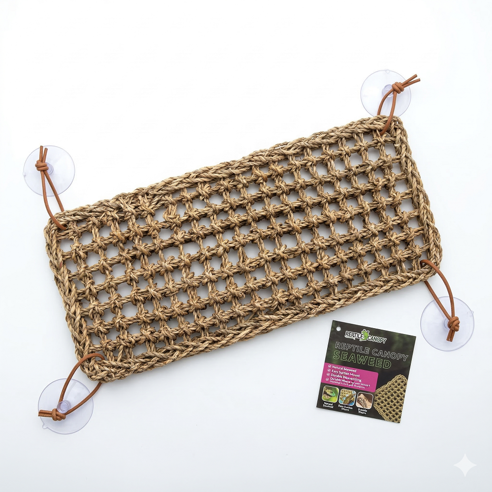 렙티주 사각해먹 대사이즈 파충류은신처 18,000원