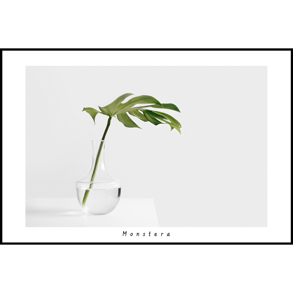 코나 주방아트보드 아트글라스 아트월 주방 셀프 벽면 인테리어 꾸미기 몬스테라, 1개 79,800원